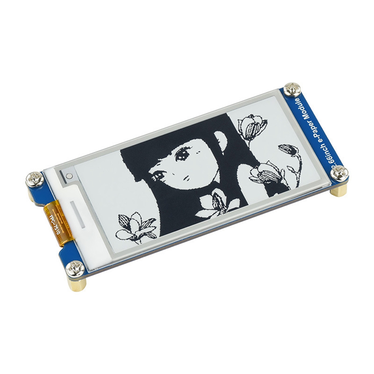 AA08-E โมดูลหน้าจอ E-Ink โมดูล - Pi Display บทวิจารณ์และราคา